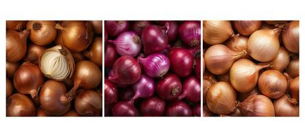 fresh onion food texture background photo