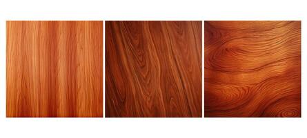 tree cherry wood texture grain photo