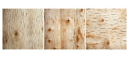 hard birch wood texture grain photo
