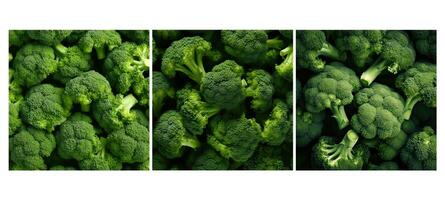 vegetable broccoli food texture background photo