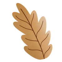 Leaves during Thanksgiving and Autumns png
