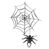 Illustration von Spinnennetz mit Spinne. png