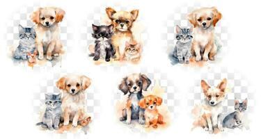 Cat and dog in a watercolor style. Illustration on a transparent background. vector