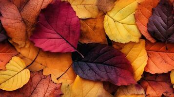 Colorful autumn leaves, tile background, AI generated photo
