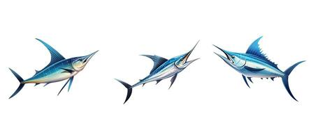 sword swordfish animal photo