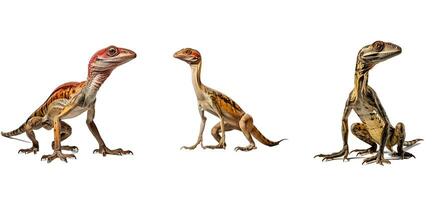 animal compsognathus animal foto