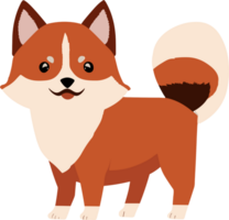 Cute Shiba dog AI Generative png