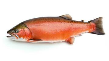 A Salmon fish isolated on white background. Salmon fish. Generative Ai photo