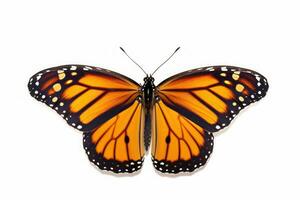 A beautiful monarch butterfly isolated on white background. Butterfly. Generative Ai photo