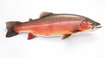 A Salmon fish isolated on white background. Salmon fish. Generative Ai photo