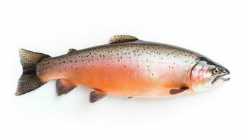 A Salmon fish isolated on white background. Salmon fish. Generative Ai photo