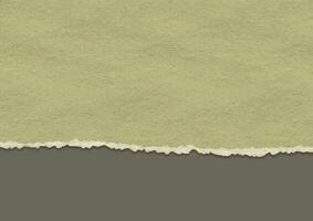 grunge ripped paper background vector