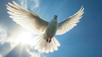 A white dove in the blue sky air with wings wide open in front of the sun. Freedom concept and international day of peace. Generative Ai photo