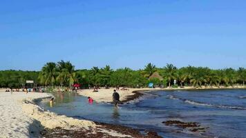 playa del carmen Quintana roo Mexiko 2023 Karibik Strand Menschen Hotels Türkis Wasser playa del carmen Mexiko. video