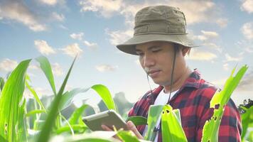 Asian farmers use the new technology to monitor crop corn. photo