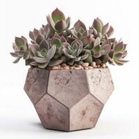 Graptoveria in a terracotta hexagonal pot with a speckled pattern in shades of purple AI Generated photo