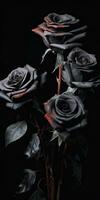 Spellbinding closeup portrait of roses, eternal melancholy, AI Generated photo