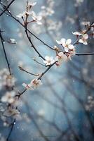 A painting of a cherry blossom tree with snow on the branches photo