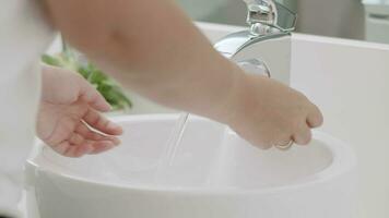 higiene pode Socorro para proteger a partir de infecções video