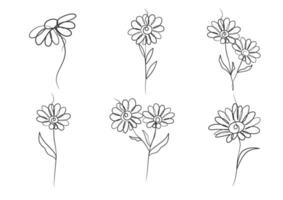 Continuous one line art drawing of beauty daisy flower vector