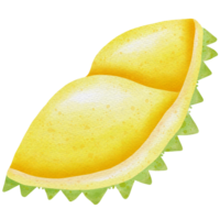 durian a partire dal Tailandia png