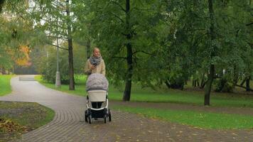 kvinna använder sig av mobil när gående med bebis i höst parkera video