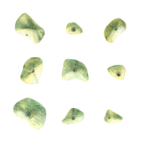 Set of green stones grips different shapes for climbing wall Holds for rock climbing on a wall in the gym. Watercolor illustration For your design of stickers prints logo png