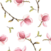 Aquarell nahtlos Muster. Hand gemalt Illustration von Blühen lila Magnolie Blumen und Blätter. Blumen- Design zum Ihre drucken, Textil, Verpackung, Hintergrund, Abdeckung. png