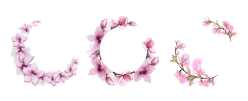 drie bloemen ronde kader met waterverf roze magnolia bloemen, tak, bladeren en bloemknoppen uitrusting. hand- geschilderd illustratie. botanisch reeks voor bruiloft, uitnodigingen en groet kaarten png