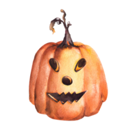 gracioso enojado cara calabaza. Víspera de Todos los Santos Jack calabaza naranja cabeza. mano dibujado acuarela ilustración. celebrando otoño diseño para pegatina diseños, logotipos, huellas dactilares png