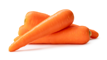 Fresh beautiful orange carrots in stack isolated with clipping path and shadow in png file format Close up of healthy vegetable root