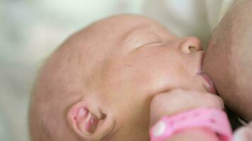 Newborn baby breastfeeding video