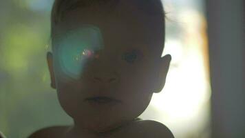 pequeno criança retrato contra luz solar video