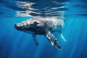 Humpback Whale Plays Near the Surface in Blue Water. Humpback whale in pacific sea. Generative ai photo