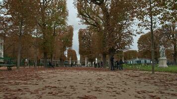 timelapse van wandelen door Luxemburg tuinen in herfst, Parijs video