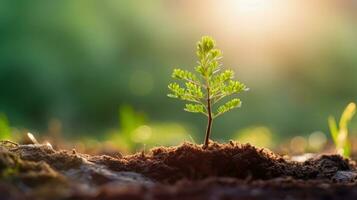 joven árbol es creciente arriba con luz solar. generativo ai foto