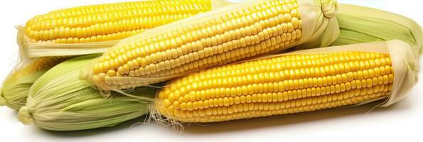 Fresh sweetcorn isolated on white background. Generative Ai photo