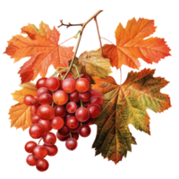 Watercolor colorful autumn branch with red berries AI Generative PNG Pro