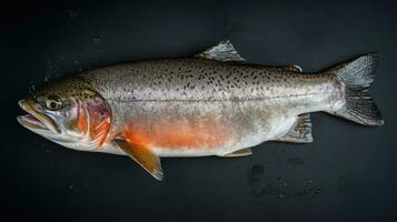 A fresh salmon fish on ice. Salmon fish. Generative Ai photo