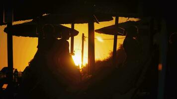 pessoas às a de praia contra dourado pôr do sol video