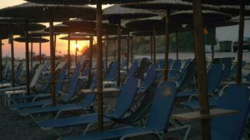 Sunset scene of beach with straw umbrellas and empty chaise longues video