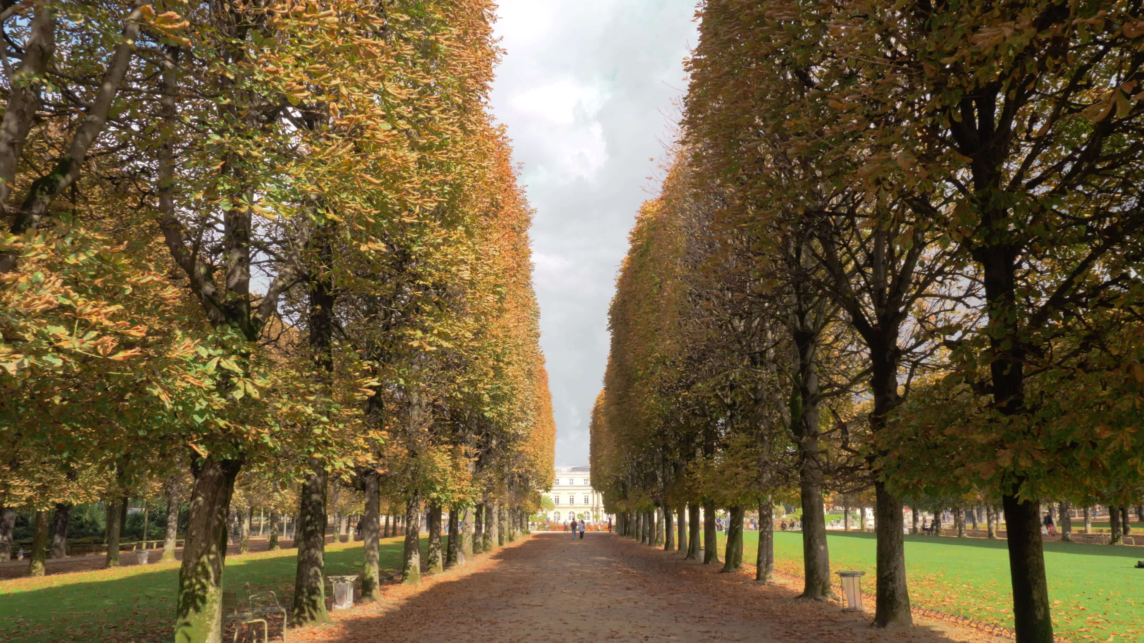 Autumn scene of tree lined promenade in Luxembourg Gardens