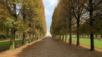 outono cena do árvore forrado passeio dentro Luxemburgo jardins, Paris video
