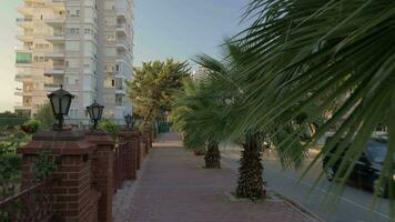 Walking on sidewalk lined with palms Street with car traffic and hotels, Turkey video