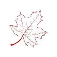 Hand drawn maple leaf outline. Maple leaf in red line art isolated on white background. vector