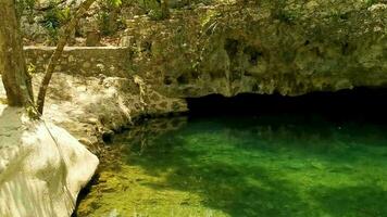 cenote parque yaxmuul yax-muul con caliza rocas turquesa agua. video
