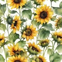 Bright sunflowers painted watercolors photo