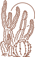 Western Linie Kunst Kaktus Hand gezeichnet png