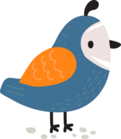 Wild Bird Animal Funny Illustration Cartoon png