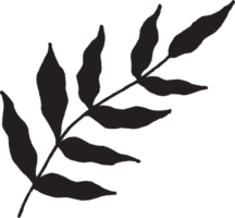 mystisch Blumen- schwarz Jahrgang Blätter Silhouette Hand gezeichnet png